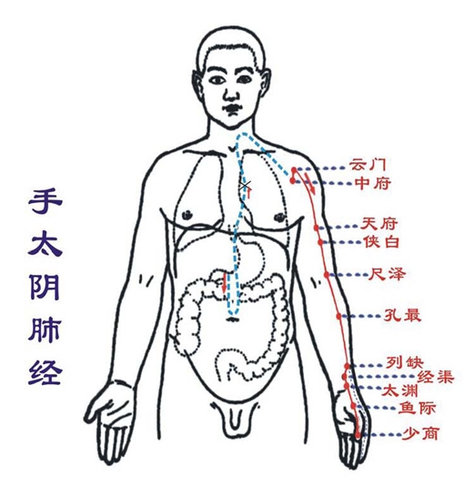 一,手太阴肺经