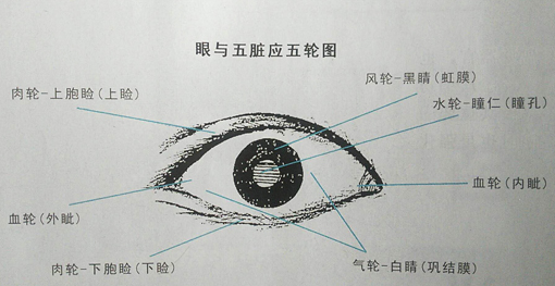 眼睛与五脏六腑及全身都有关系